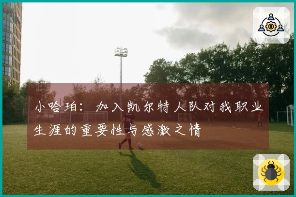 小哈珀：加入凯尔特人队对我职业生涯的重要性与感激之情