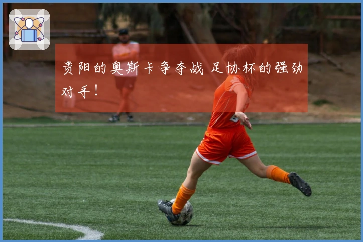 贵阳的奥斯卡争夺战 足协杯的强劲对手！