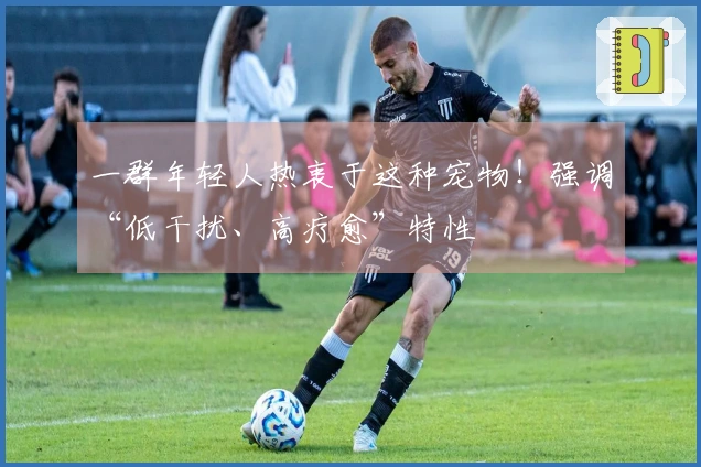 一群年轻人热衷于这种宠物！强调“低干扰、高疗愈”特性